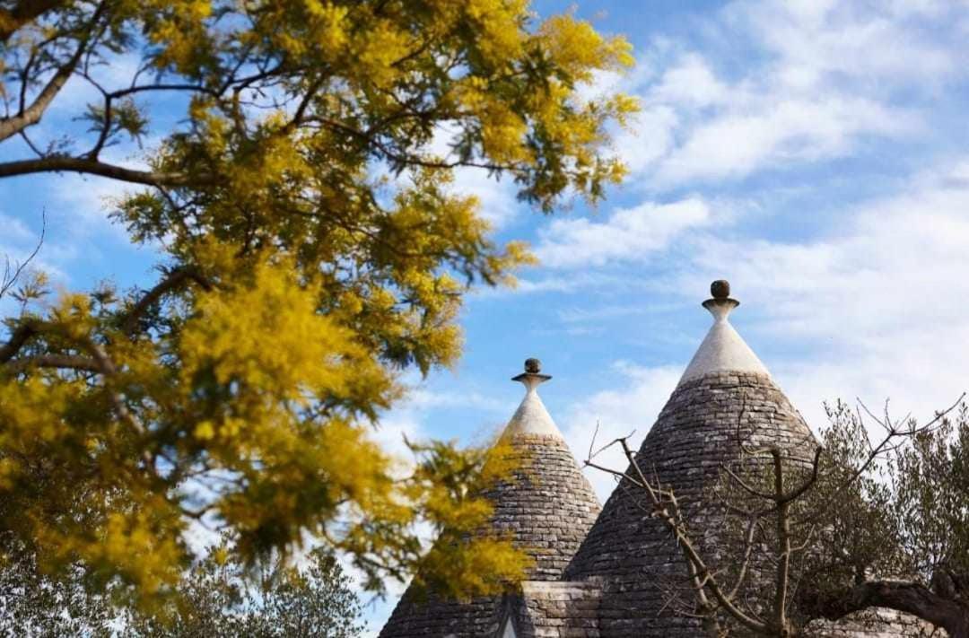 Trulli Azzalema With Exclusive Pool Villa Brindisi Eksteriør bilde